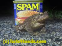 /home//u458753944/public_html/sourcegallery//Roxborough Toad Detour/2013-2019/2013/2013-05-19/P1120442.JPG
